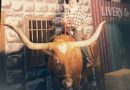LongHorns, Texas