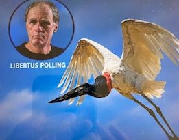 Libertus Polling: Fotografía de Aves